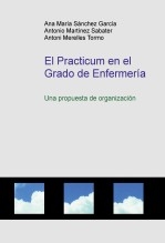 Libro El Practicum en el Grado de Enfermería, autor antmarsaba