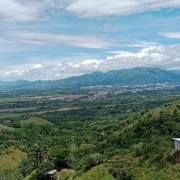 jcmedina