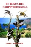 EN BUSCA DEL CARPINTERO REAL EN BUSCA DEL CARPINTERO REAL