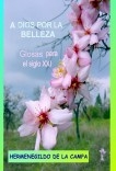 A DIOS POR LA BELLEZA // Glosas para el siglo XXI A DIOS POR LA BELLEZA // Glosas para el siglo XXI