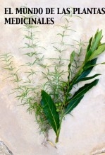 EL MUNDO DE LAS PLANTAS MEDICINALES EL MUNDO DE LAS PLANTAS MEDICINALES