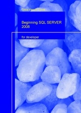 Beginning SQL SERVER 2008 Beginning SQL SERVER 2008