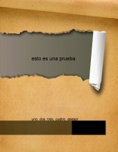 esto es una prueba esto es una prueba