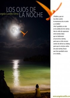 Los Ojos de la Noche