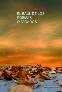 EL BAÚL DE LOS POEMAS OLVIDADOS.