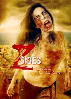 Z- Sides