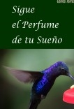 SIGUE EL PERFUME DE TU SUEÑO