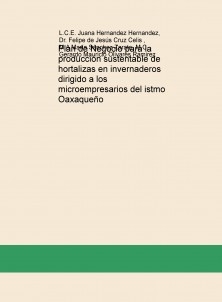 Plan de Negocio para la producción sustentable de hortalizas en invernaderos dirigido a los microempresarios del istmo Oaxaqueño