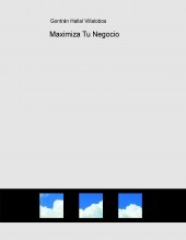 Maximiza Tu Negocio Maximiza Tu Negocio