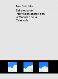 Estrategia de Innovación acorde con la Madurez de la Categoría