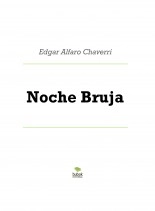 Libro Noche Bruja, autor davidfpo Libro Noche Bruja, autor davidfpo