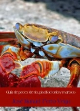 Libro GUÍA DE PECES DE RIO, PISCIFACTORÍA Y MARISCO, autor Jose Manuel Ferro Veiga Libro GUÍA DE PECES DE RIO, PISCIFACTORÍA Y MARISCO, autor Jose Manuel Ferro Veiga
