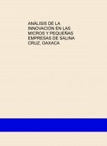 ANÁLISIS DE LA INNOVACIÓN EN LAS MICROS Y PEQUEÑAS EMPRESAS DE SALINA CRUZ, OAXACA