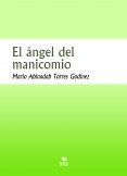 El ángel del manicomio