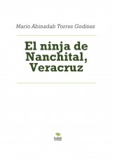 El ninja de Nanchital, Veracruz