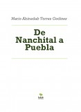 De Nanchital a Puebla