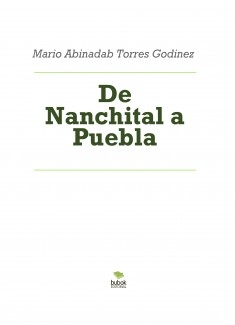 De Nanchital a Puebla