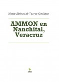AMMON en Nanchital, Veracruz