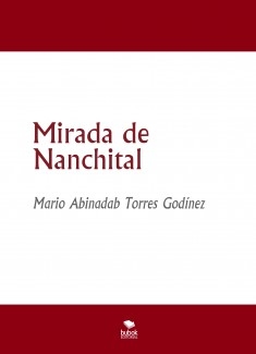 Mirada de Nanchital