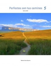 Libro PERFECTOS SON TUS CAMINOS 5, autor Roberto Celaya Libro PERFECTOS SON TUS CAMINOS 5, autor Roberto Celaya